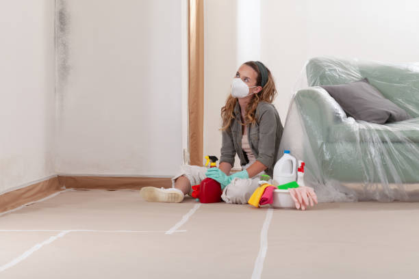 Reliable Attic Mold Remediation contractor in Mesa, AZ by Car Mold Remediation